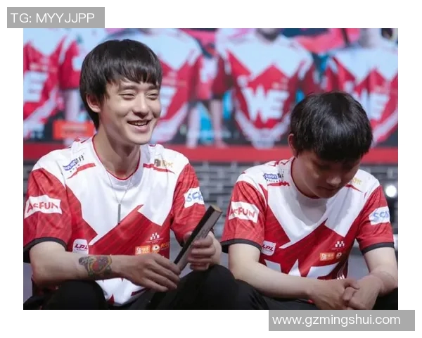 WE战队崛起之路揭秘世界大师赛背后的成长与奋斗故事实时数据