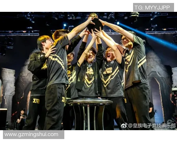 电竞新闻深入分析RNG与TES赛后复盘展现出的实力差异与战术对比